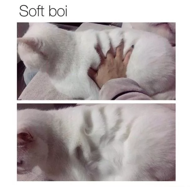Picdump 276 - #9 