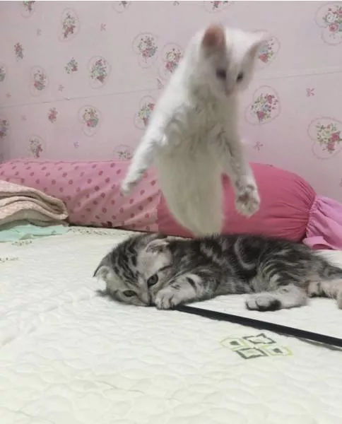 Picdump 277 - #8 