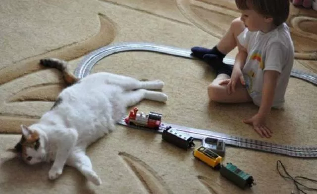Picdump 278 - #25 