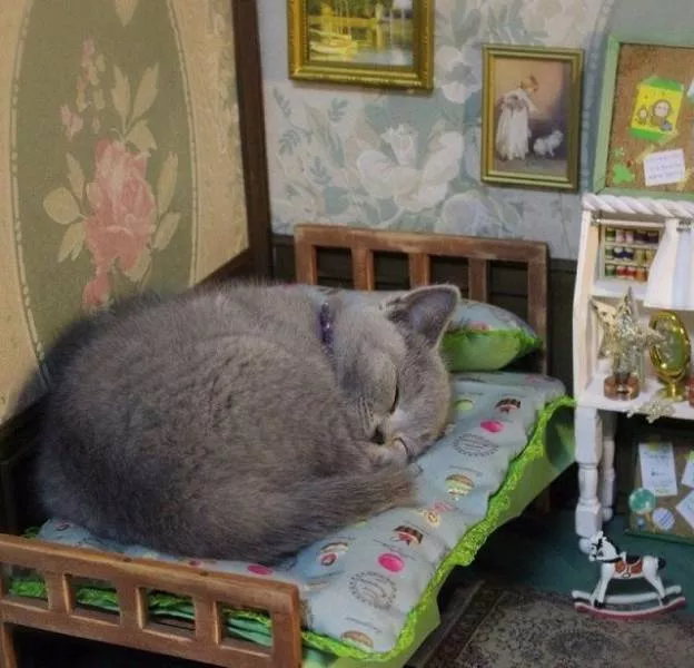 Picdump 278 - #28 