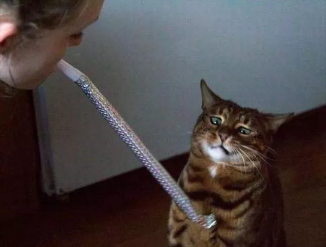 Picdump 278 - #51 