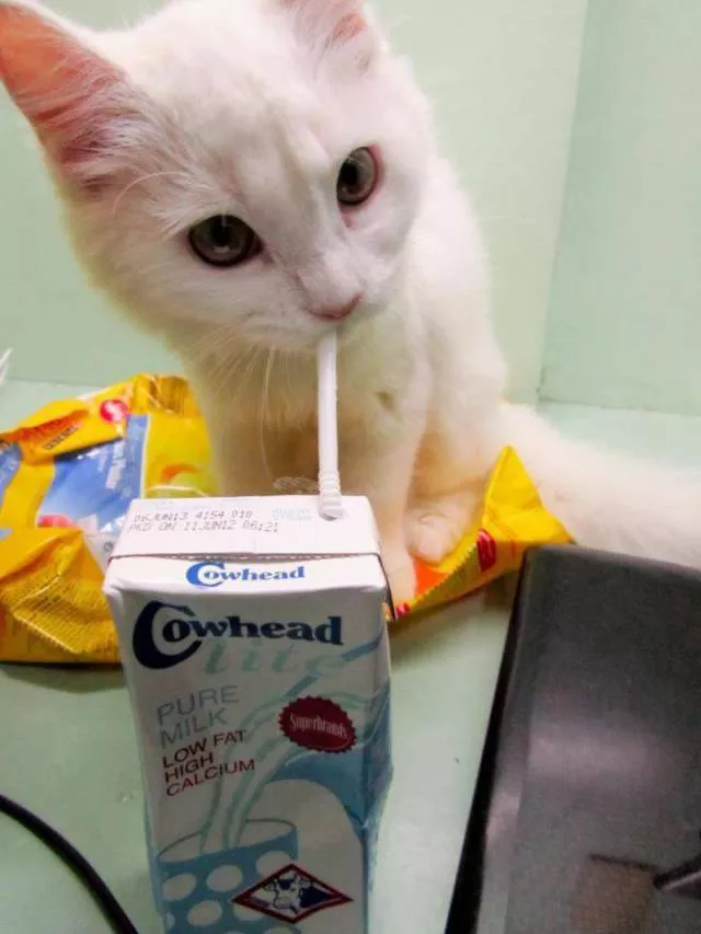 Picdump 278 - #52 