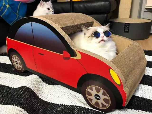 Picdump 278 - #55 