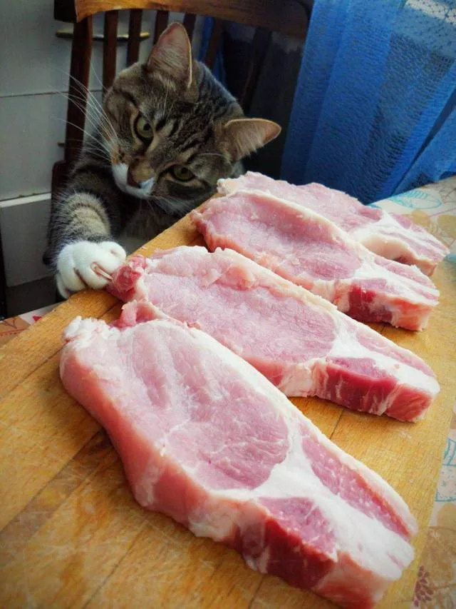 Picdump 278 - #67 