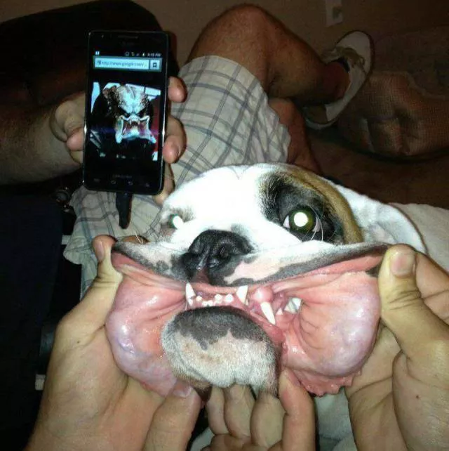 Picdump 278 - #76 