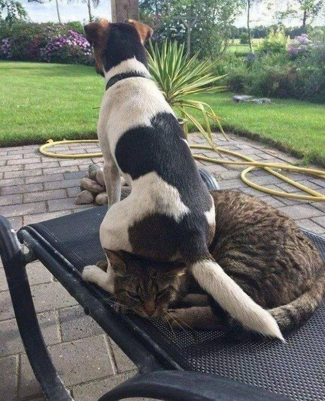 Picdump 278 - #90 