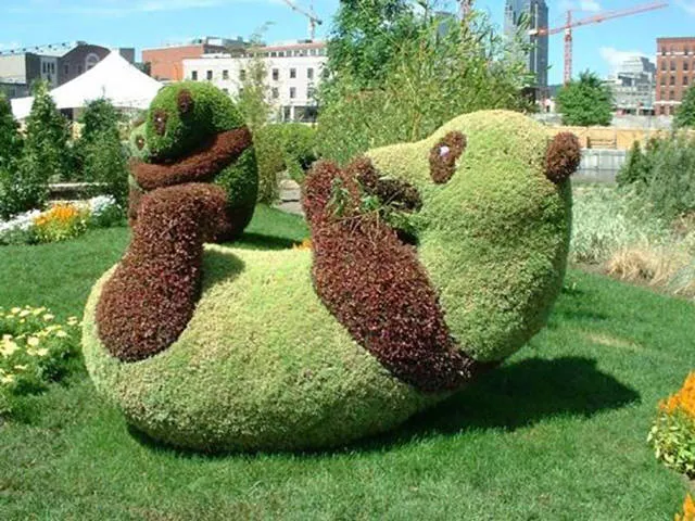 Picdump 7 - #1 