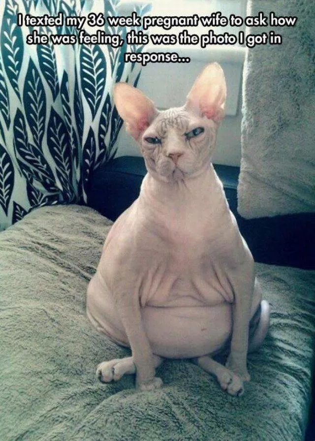 Picdump 7 - #41 