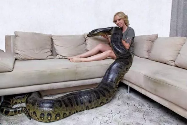 Picdump 7