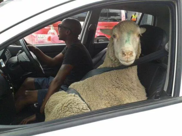 Picdump 7 - #58 
