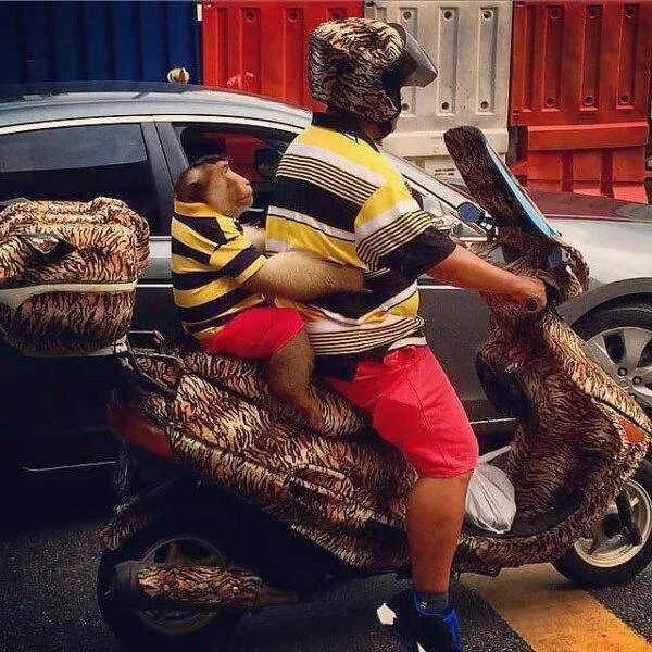 Picdump 7 - #60 