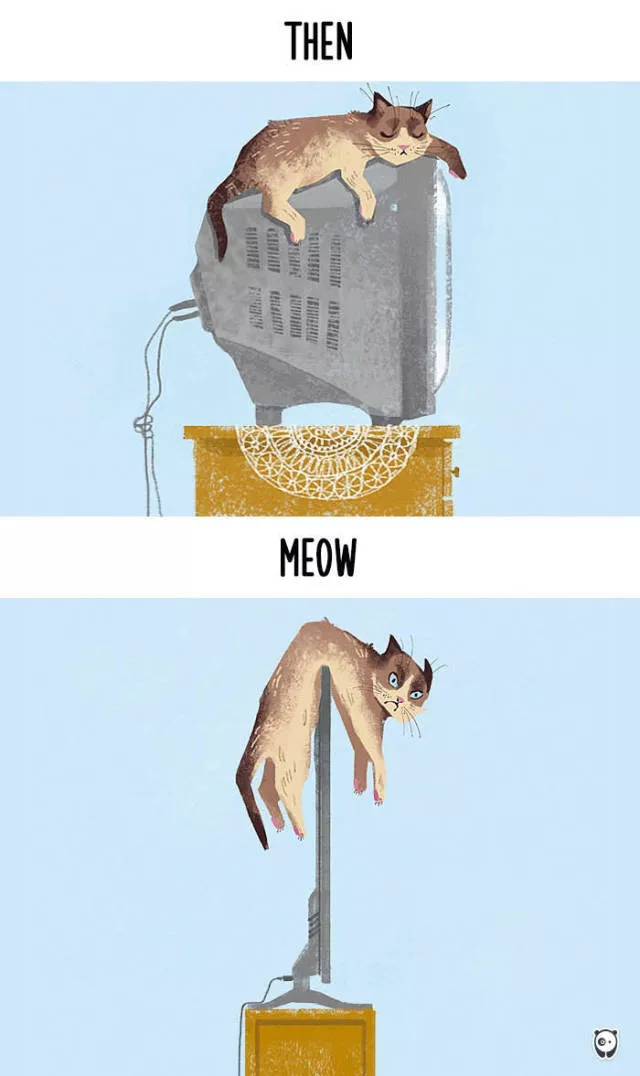 How technology changed cats habits - #1 