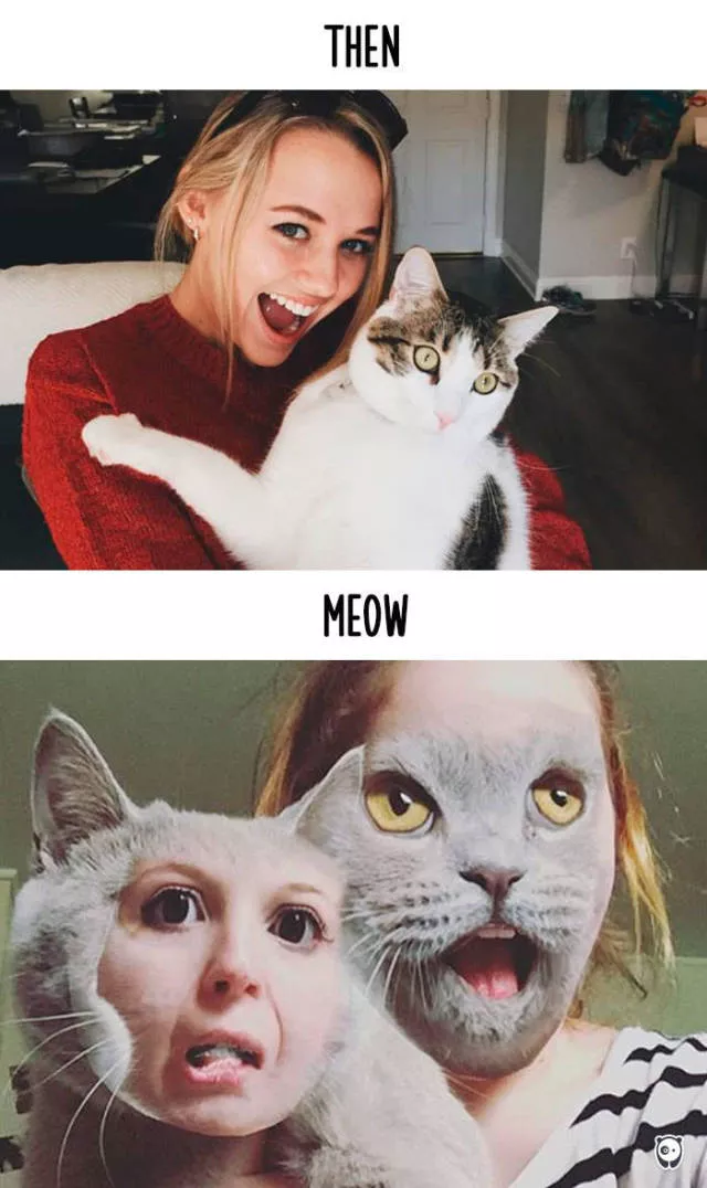 How technology changed cats habits - #11 