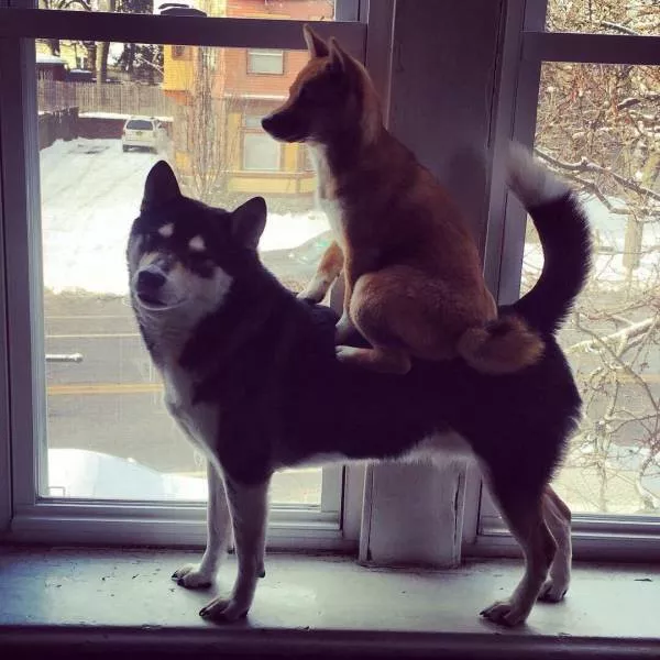 Picdump 279 - #19 