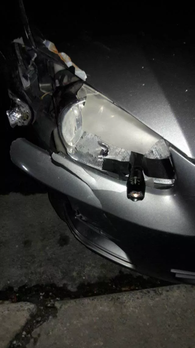 Picdump 279 - #36 