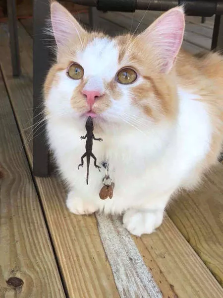 Picdump 279 - #39 