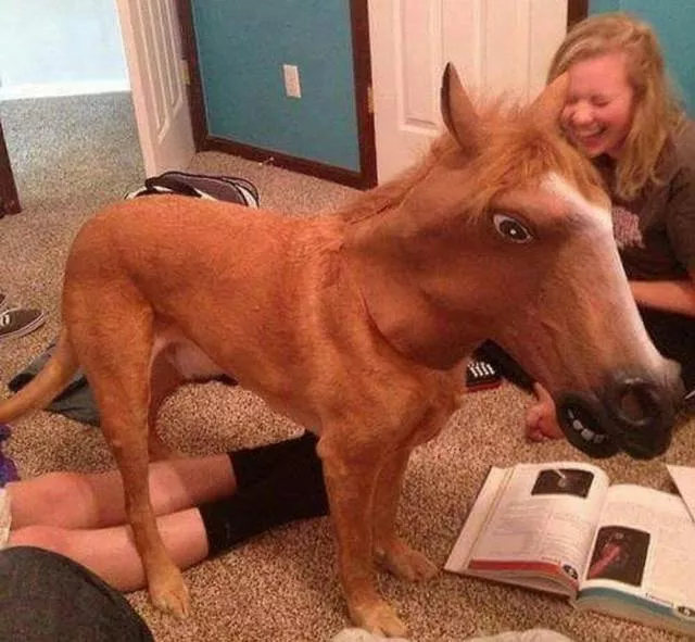 Picdump 279 - #50 