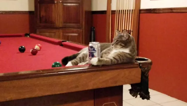 Picdump 279 - #53 