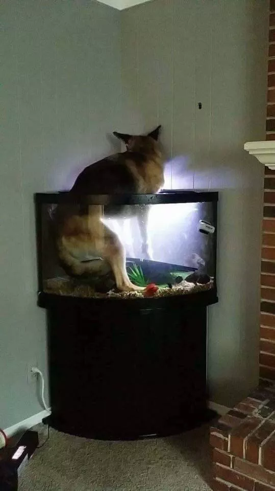 Picdump 280 - #29 