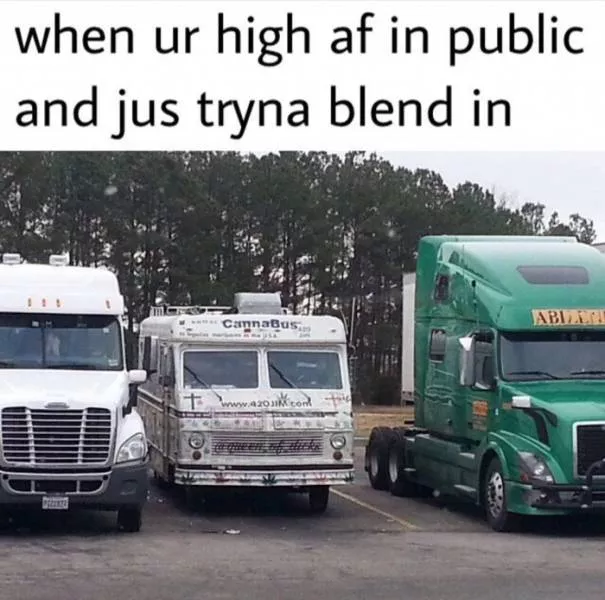 Memes hilarants - #13 