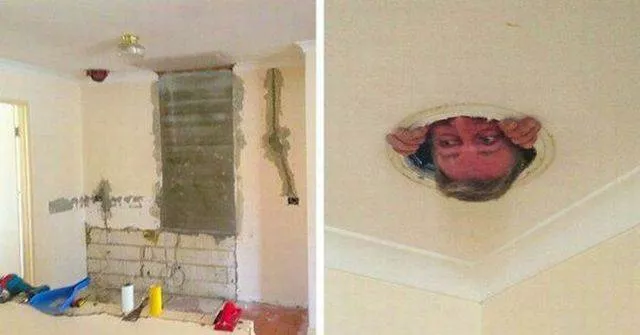 Picdump 281 - #19 