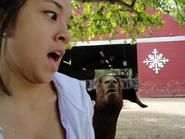 Picdump 281 - #34 