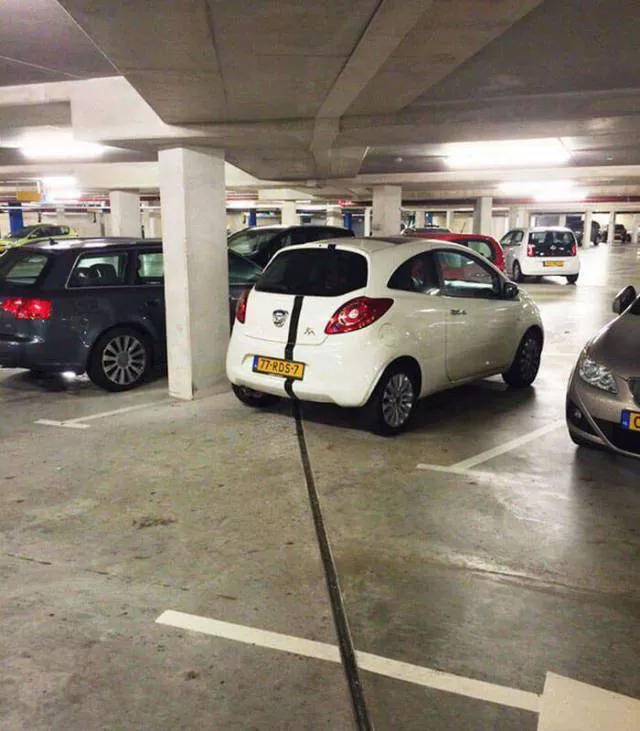 Picdump 281 - #37 
