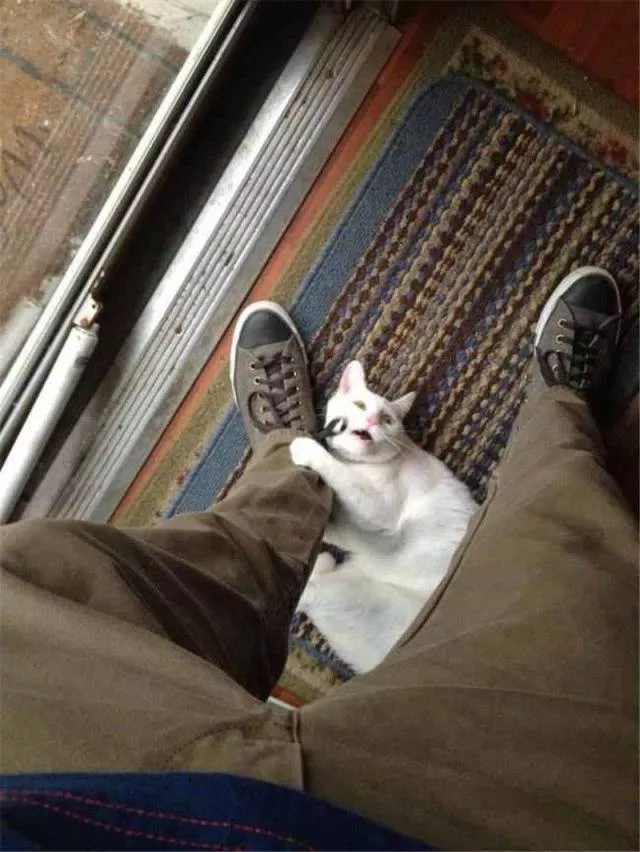 Picdump 281 - #44 