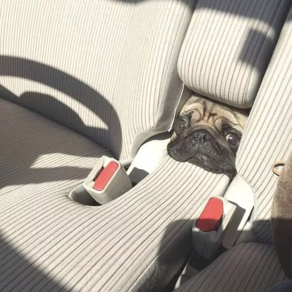 Picdump 281 - #93 