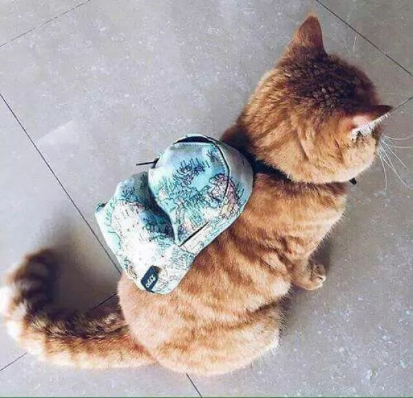 Picdump 53 - #23 