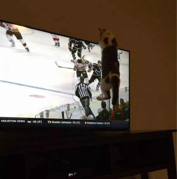 Picdump 53 - #81 