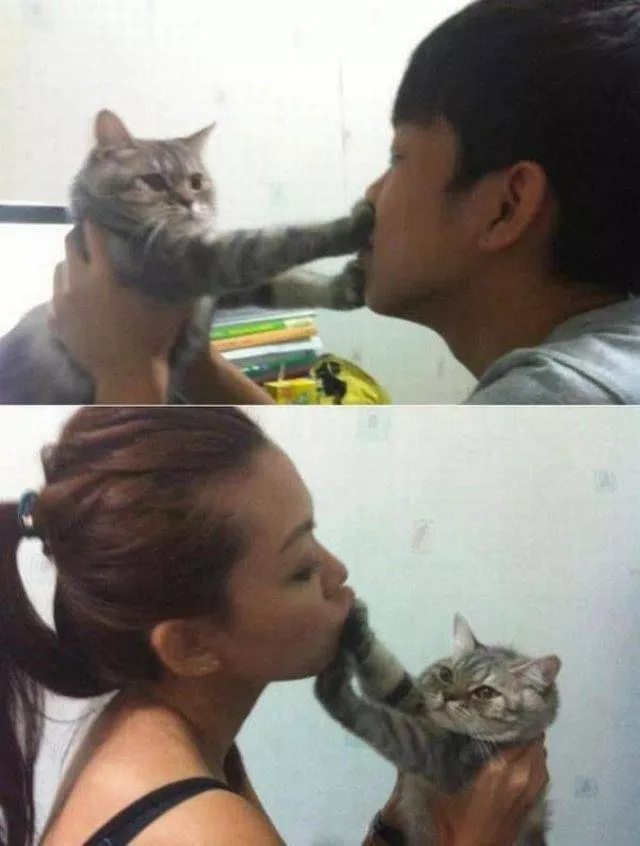 Picdump 53 - #89 