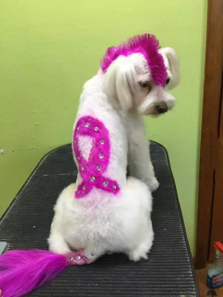 Picdump 53 - #97 