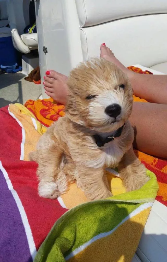 Picdump 282 - #16 