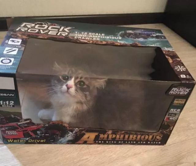 Picdump 282 - #17 