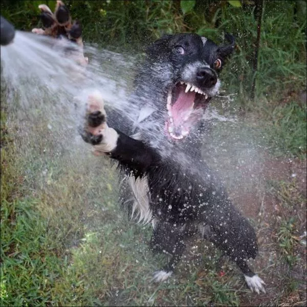 Picdump 282 - #24 