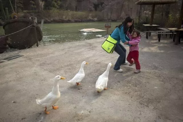 Picdump 282 - #3 