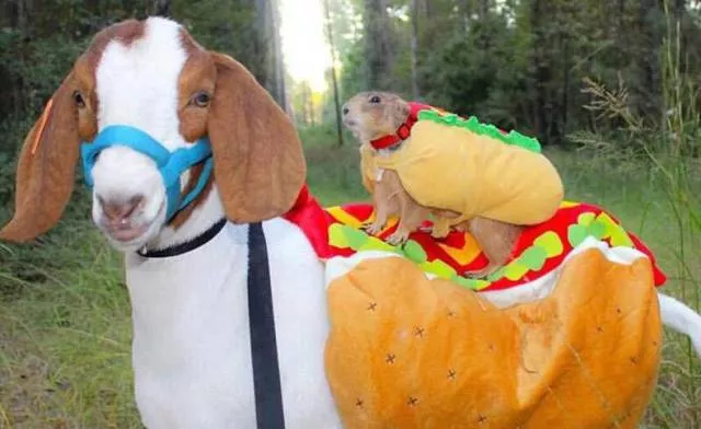Picdump 282 - #44 