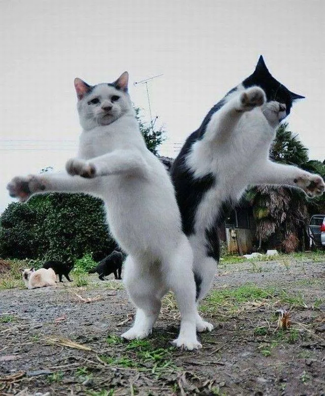 Picdump 282 - #56 