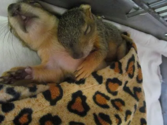 Picdump 282 - #7 