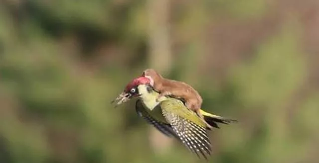Picdump 283