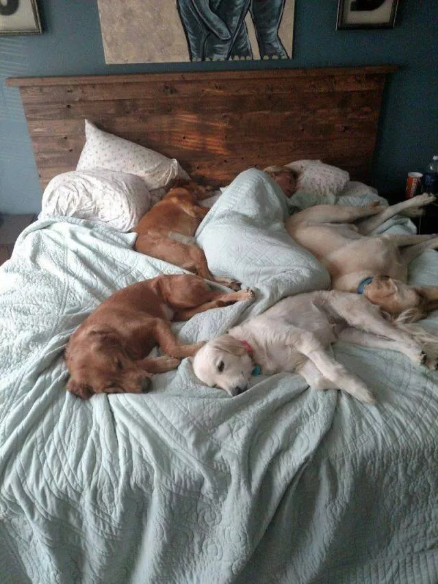 Picdump 285 - #17 