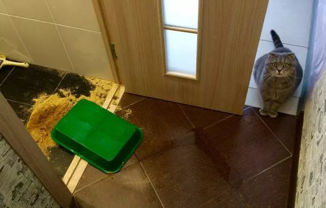 Picdump 285 - #18 