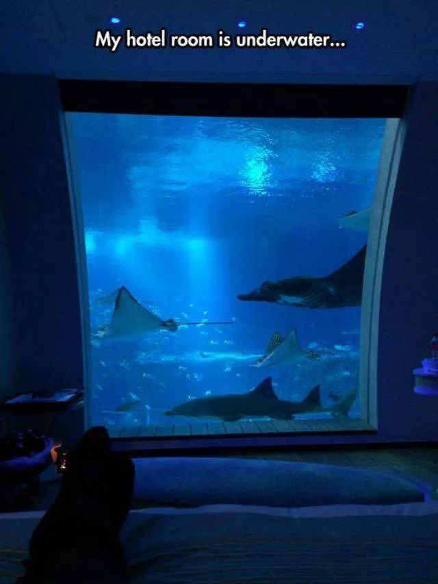 Picdump 285 - #32 