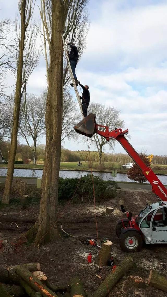 Picdump 285 - #34 