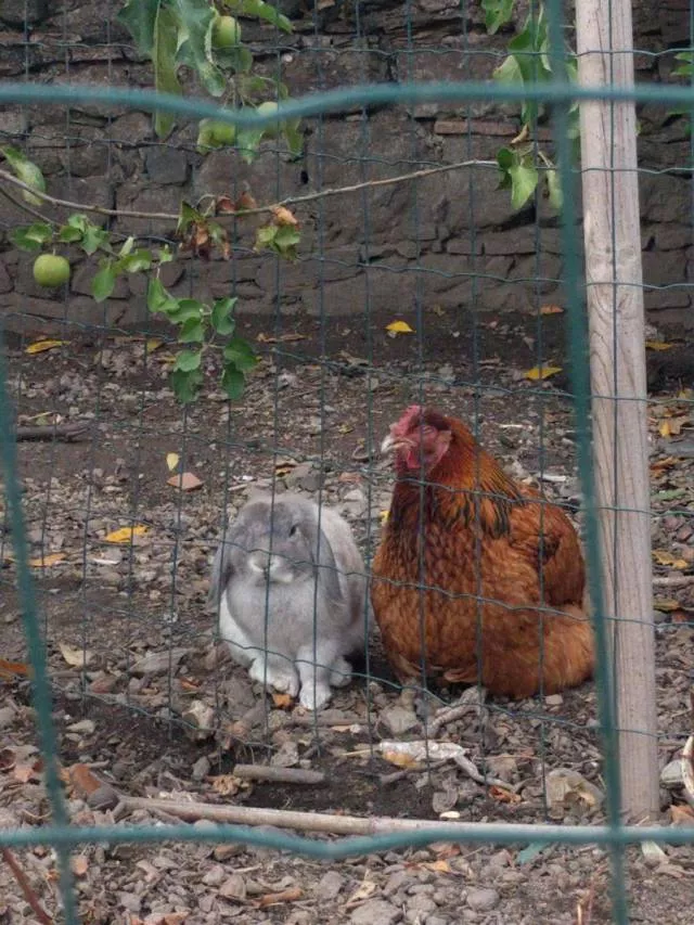 Picdump 285 - #45 