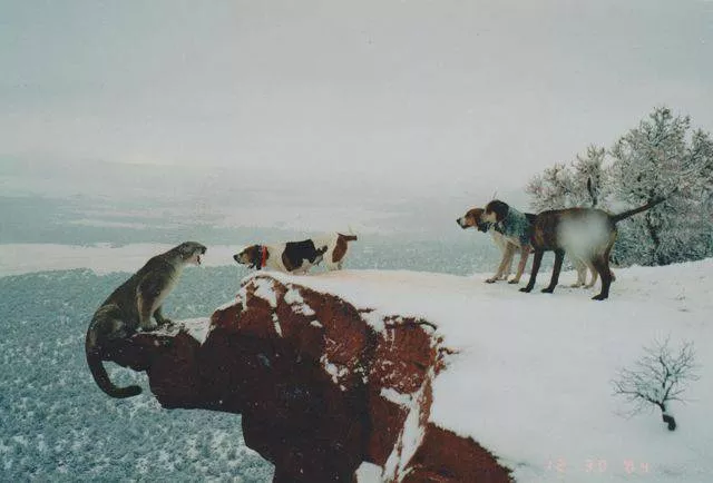 Picdump 285 - #61 