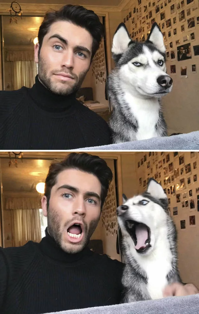 Do animals look like their masters here is the answer - #1 