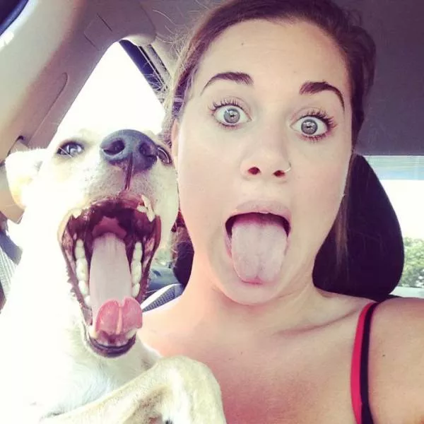 Les animaux ressemblent ils a leurs maitres voici la reponse - #28 