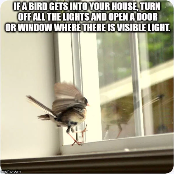 Funny lifehacks  - #21 